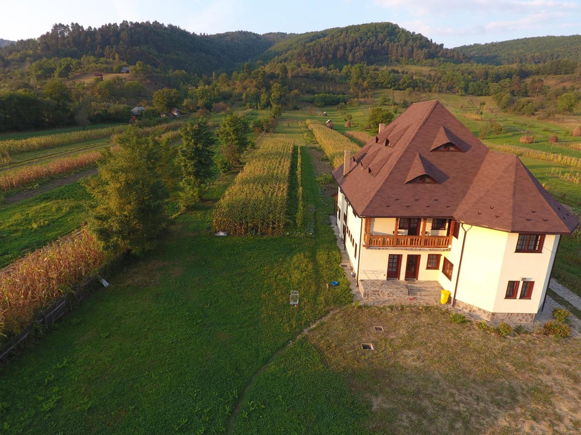 Pensiunea Sanziene Villa Stramtura  Exterior photo